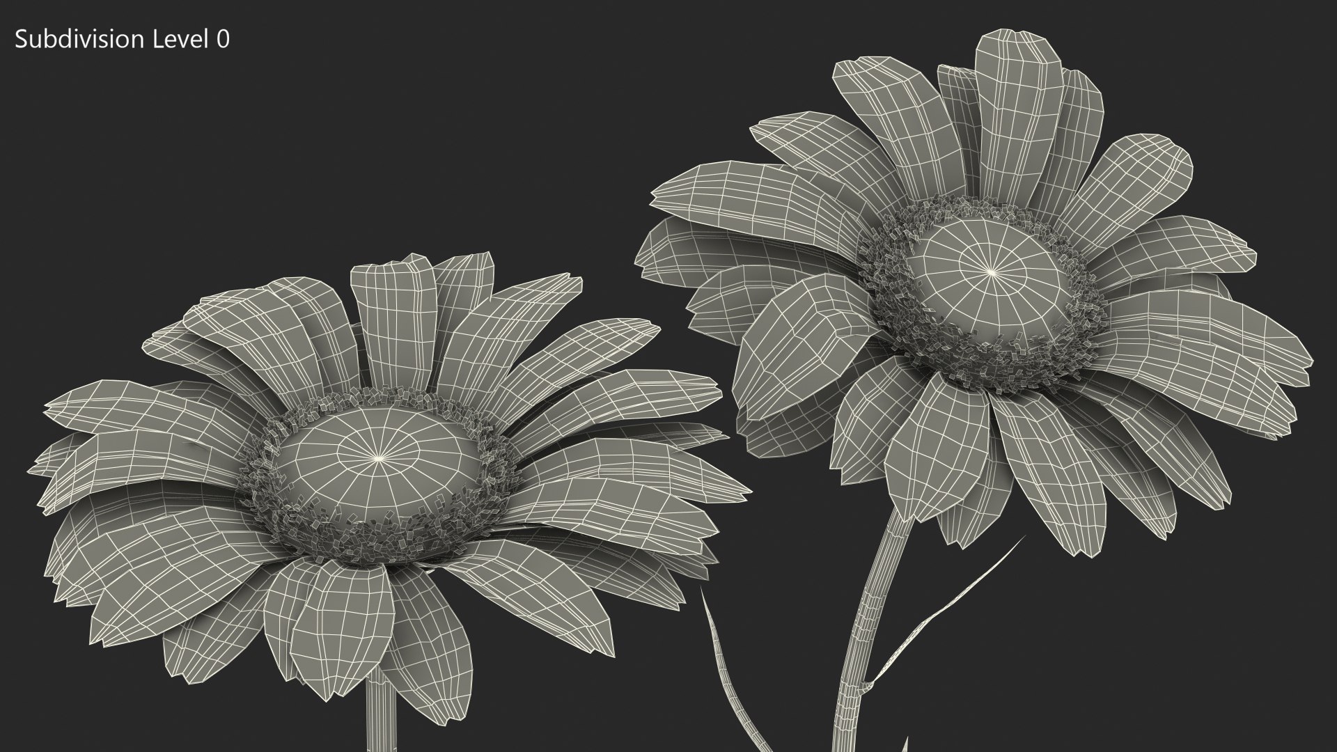 leucanthemum vulgare flowers set 3D model https://p.turbosquid.com/ts-thumb/Mj/dobpAN/i3teEEZt/leucanthemumvulgareflowersset3dsmodel013/jpg/1596871104/1920x1080/fit_q87/0b1e2e355a6c46a8fb5235d8085a0aed0009cc0e/leucanthemumvulgareflowersset3dsmodel013.jpg
