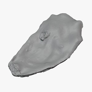 3D Top Half Oyster 01 for 3D Print model