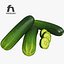 Coleção vegetal