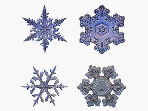 SnowFlakes
