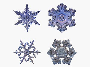 SnowFlakes