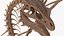 3D Fossilized Dragon Skeleton