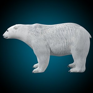 Polar Bear