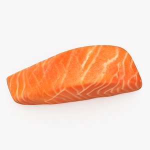 Raw Salmon Fillet 02