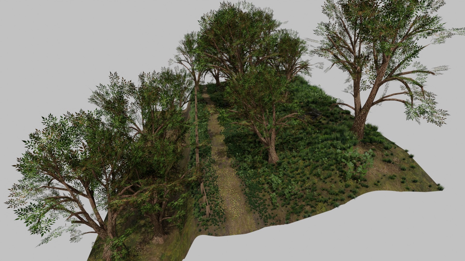 Forest Path Scene 3D Model - TurboSquid 1645532
