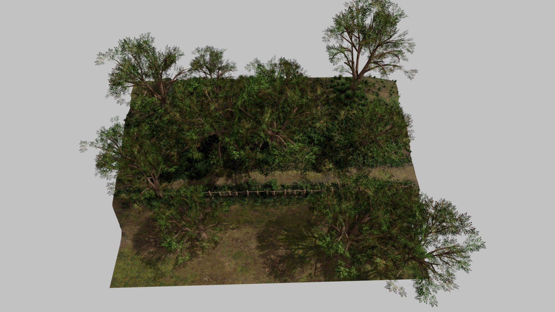 Forest Path Scene 3D Model - TurboSquid 1645532