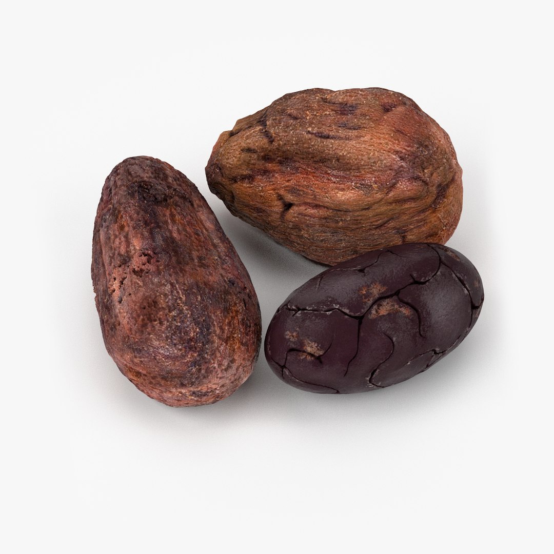 3d Realistic Cocoa Beans