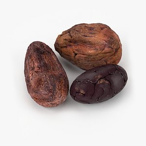 3d realistic cocoa beans