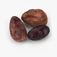 Realistic Cocoa Beans