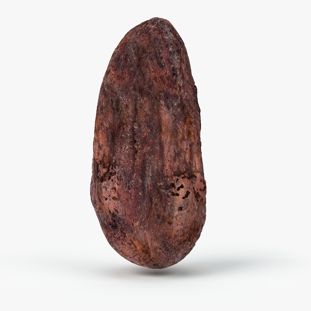 3d Realistic Cocoa Beans