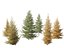 Larix laricina - American larch