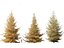 Larix laricina - American larch