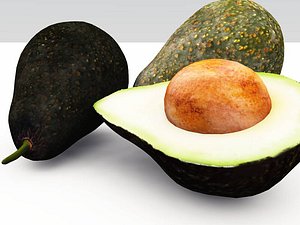 3d avocado vue
