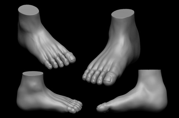 3D foot highpoly