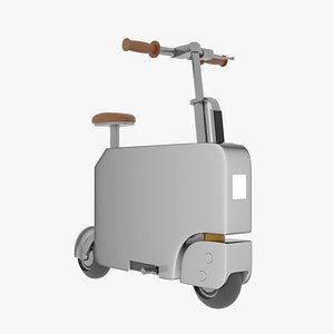 electric scooter