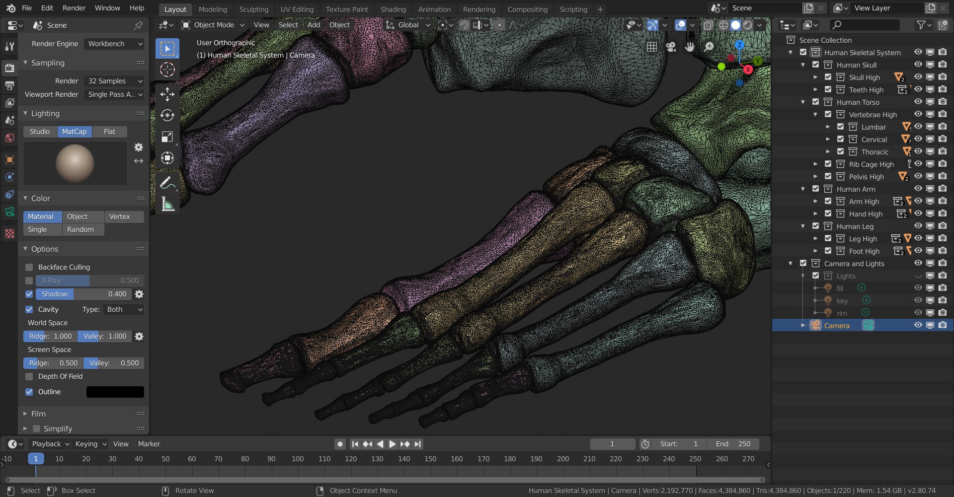 3D skeletal science anatomy model https://p.turbosquid.com/ts-thumb/Mk/gO412n/0w8WhUvc/skeletal_system_high_poly_wireframe_5/png/1569767572/1920x1080/fit_q87/05de694d93c68a21c21261f60300a541deb10769/skeletal_system_high_poly_wireframe_5.jpg