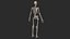 Human Skeletal SystemHigh Poly Model
