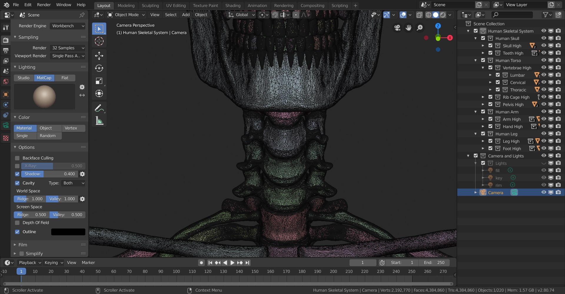 3D skeletal science anatomy model https://p.turbosquid.com/ts-thumb/Mk/gO412n/3PHATjuv/skeletal_system_high_poly_wireframe_1/png/1569767572/1920x1080/fit_q87/ee87f56b89208489779efd80d2e0ceba6b059c3a/skeletal_system_high_poly_wireframe_1.jpg