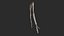 Human Skeletal SystemHigh Poly Model