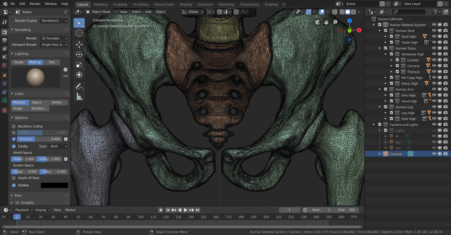 3D skeletal science anatomy model https://p.turbosquid.com/ts-thumb/Mk/gO412n/4RD7yZWf/skeletal_system_high_poly_wireframe_4/png/1569767572/1920x1080/fit_q87/2042ef3d60c2155e3908918a004a0f3552fd03ba/skeletal_system_high_poly_wireframe_4.jpg