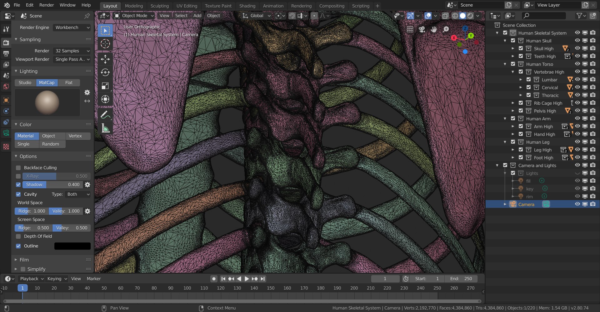3D skeletal science anatomy model https://p.turbosquid.com/ts-thumb/Mk/gO412n/9Yif87eY/skeletal_system_high_poly_wireframe_6/png/1569767572/1920x1080/fit_q87/d25b7995d7cd705f807f0e4ebb48b419674c2744/skeletal_system_high_poly_wireframe_6.jpg