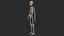 Human Skeletal SystemHigh Poly Model