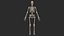 Human Skeletal SystemHigh Poly Model