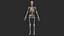 Human Skeletal SystemHigh Poly Model