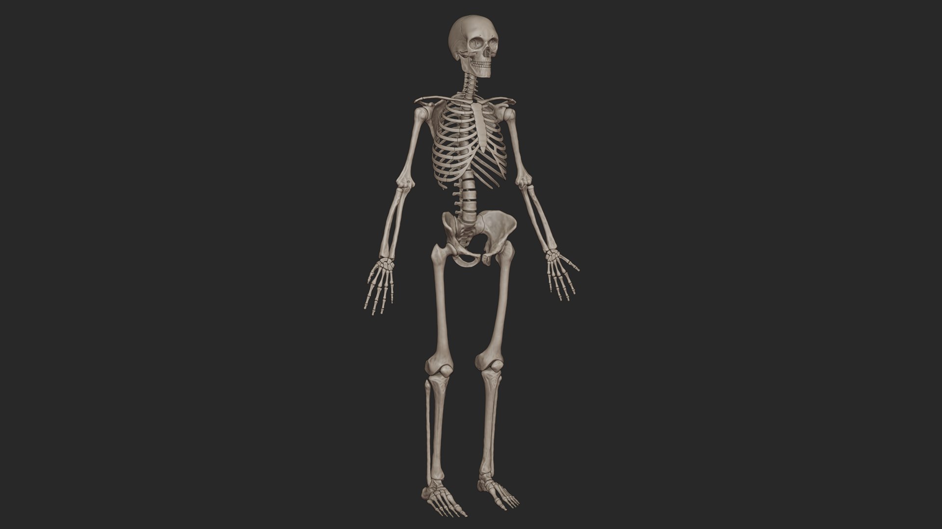 3D skeletal science anatomy model https://p.turbosquid.com/ts-thumb/Mk/gO412n/P50DH6NT/signature_img_black/png/1569765124/1920x1080/fit_q87/03e19380d84808103f909b127acc3bf0deb59d23/signature_img_black.jpg