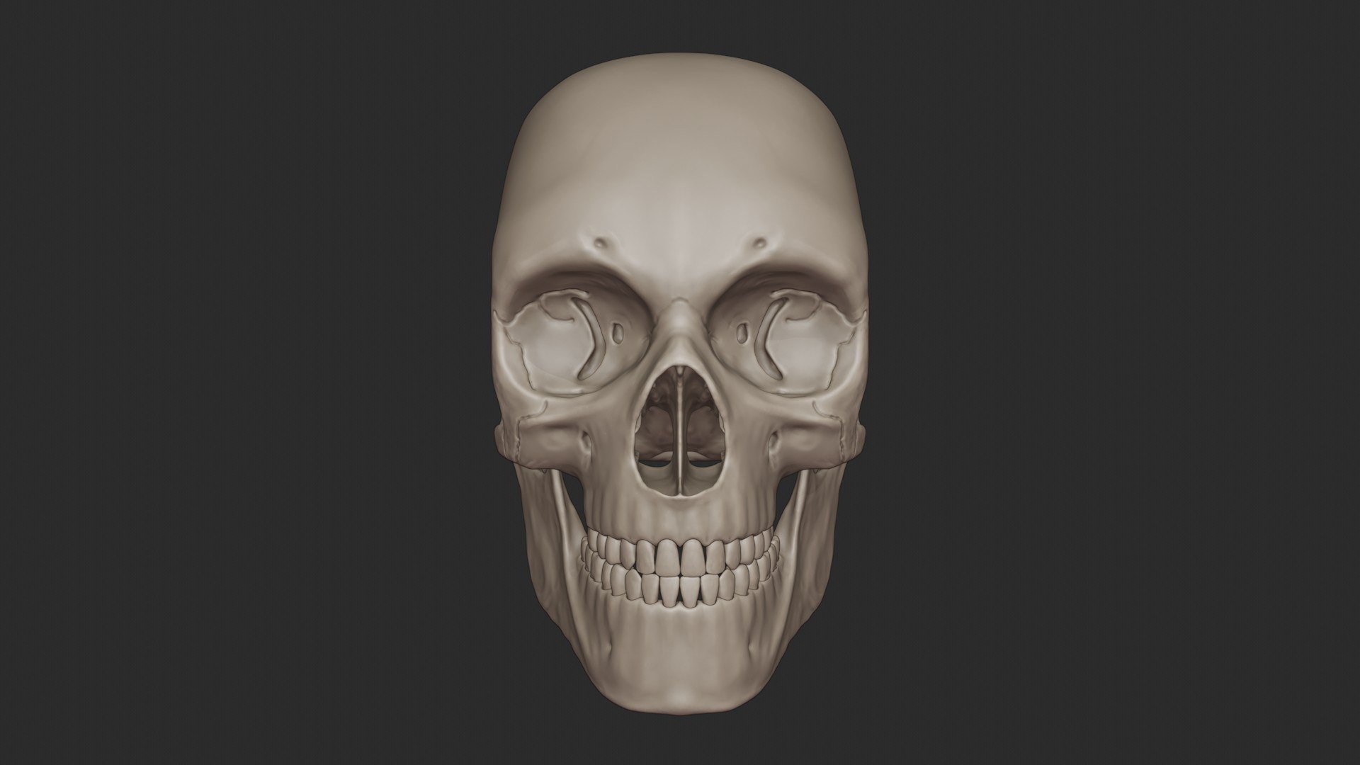 3D skeletal science anatomy model https://p.turbosquid.com/ts-thumb/Mk/gO412n/QGuXcqDO/skull_0001/jpg/1569767743/1920x1080/fit_q87/2f19e8d86a596adc58b040abdb70bbd60729c285/skull_0001.jpg