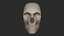 Human Skeletal SystemHigh Poly Model