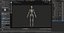 Human Skeletal SystemHigh Poly Model