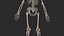 Human Skeletal SystemHigh Poly Model