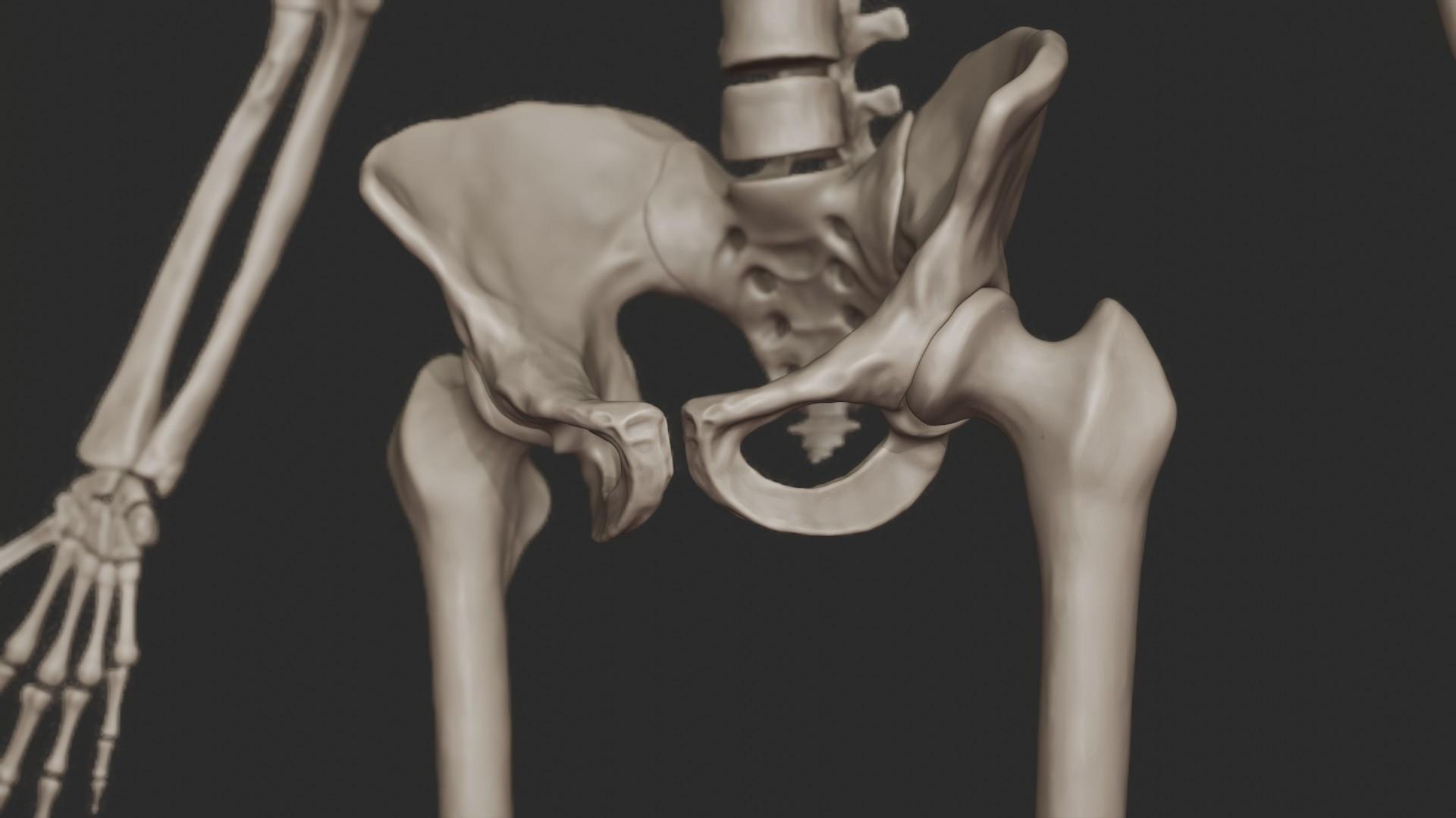 3D skeletal science anatomy model https://p.turbosquid.com/ts-thumb/Mk/gO412n/k94UCv5E/depth_render_2/jpg/1569761252/1920x1080/fit_q87/f56c03dd14ef7208e937382659dcfed3b1a64491/depth_render_2.jpg