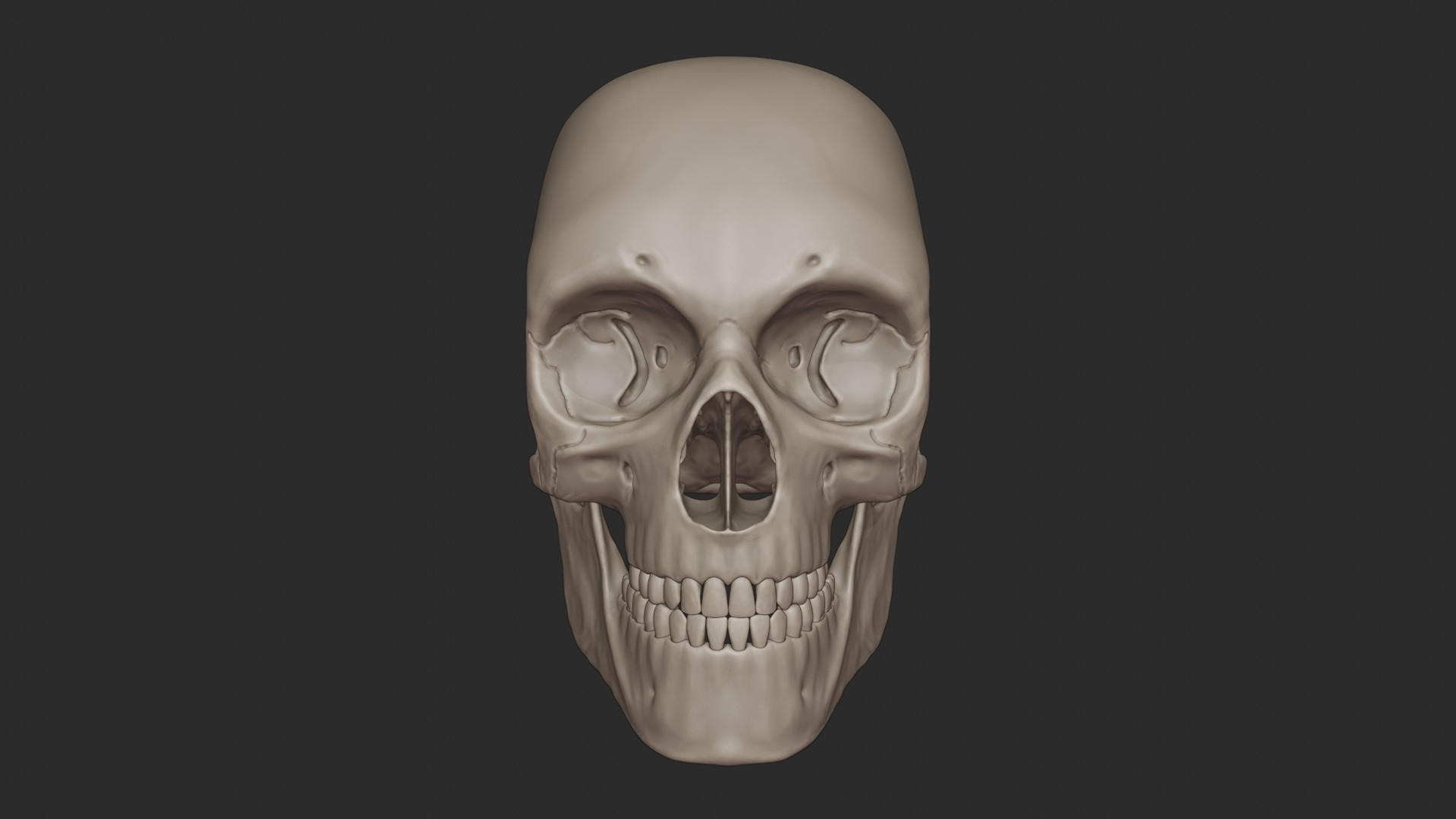 3D skeletal science anatomy model https://p.turbosquid.com/ts-thumb/Mk/gO412n/rNEM78v8/skull/jpg/1569741585/1920x1080/turn_fit_q99/3a8d5d16c090e1ab8aa649fd37cc3064acde4bb7/skull-1.jpg