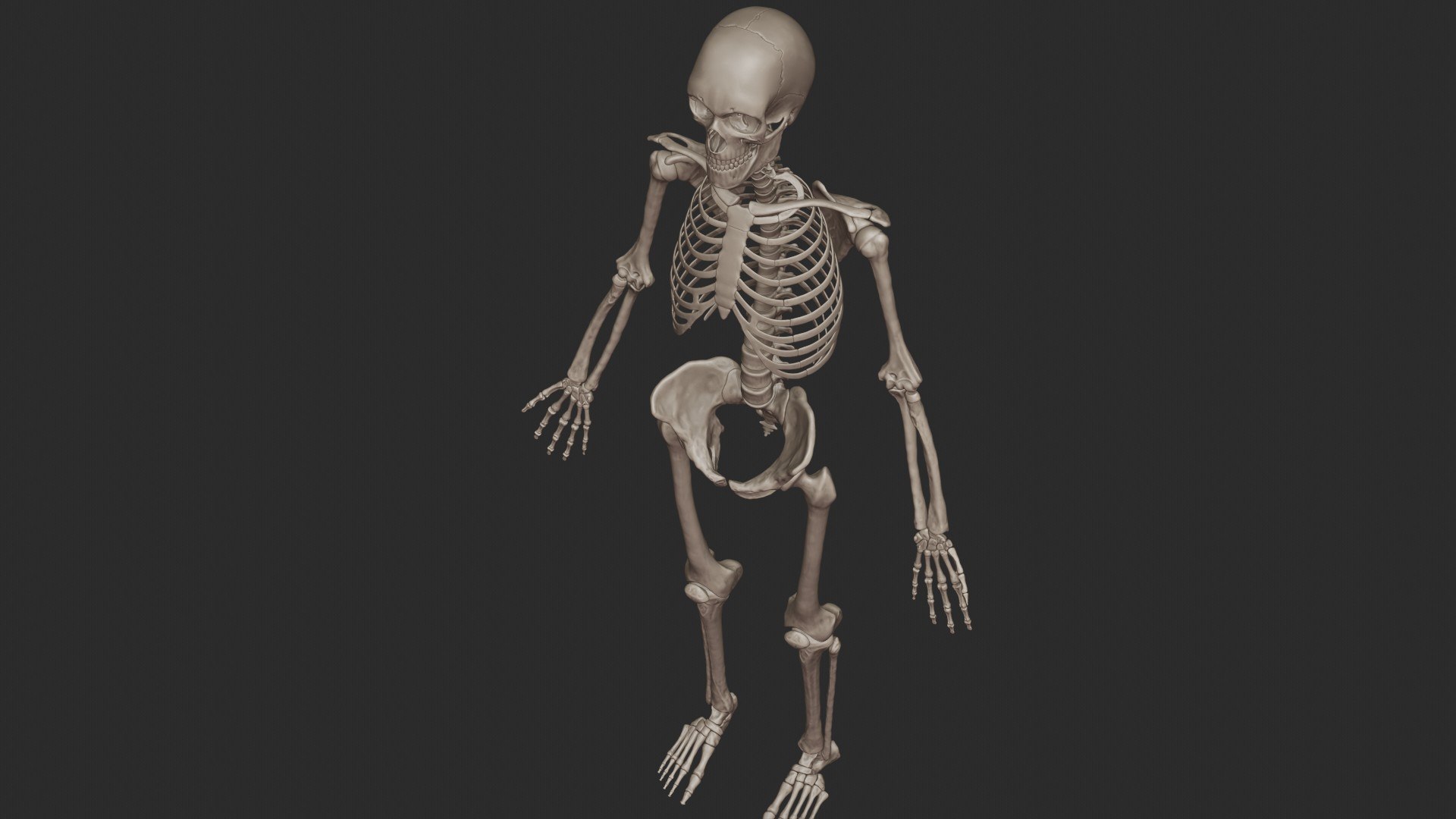 3D skeletal science anatomy model https://p.turbosquid.com/ts-thumb/Mk/gO412n/raWq7xYD/1/jpg/1569761252/1920x1080/fit_q87/11574139d1a77a40c7caad67dd7ad87f1f445312/1.jpg