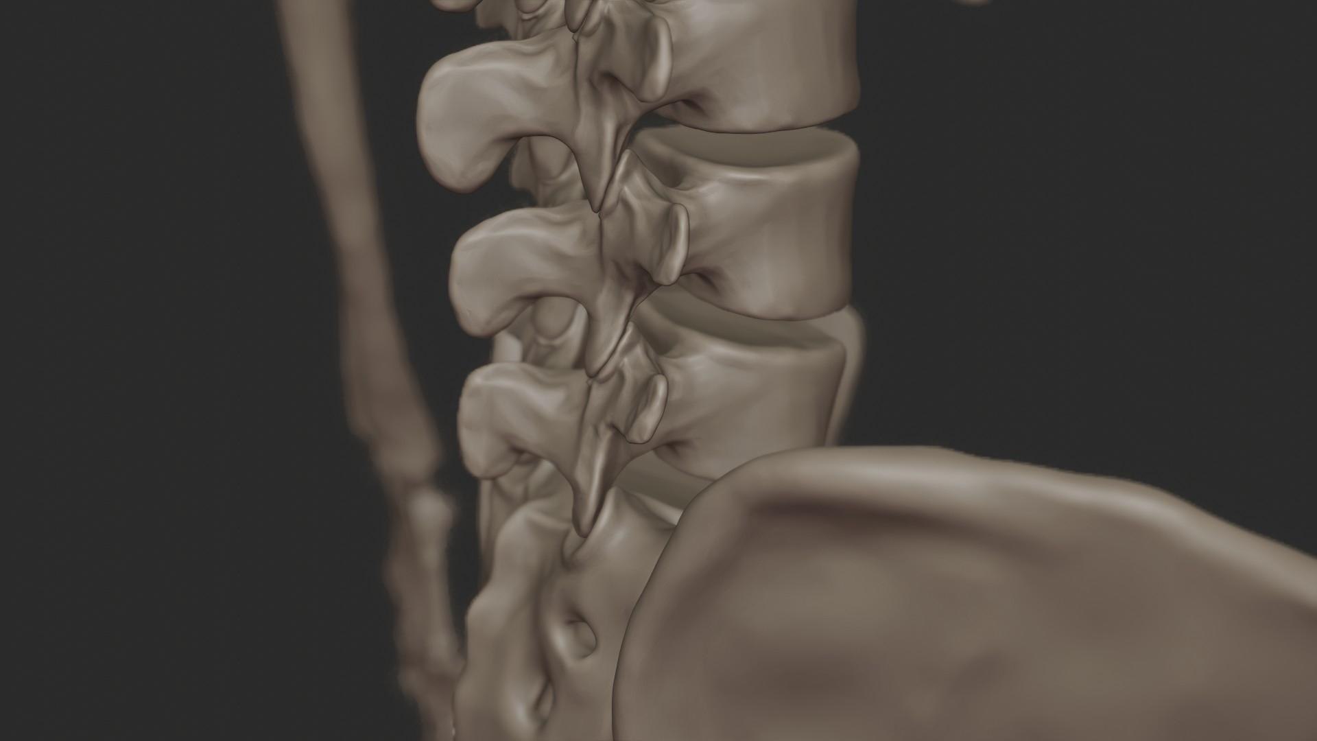 3D skeletal science anatomy model https://p.turbosquid.com/ts-thumb/Mk/gO412n/tUSYIfHx/depth_render_5/jpg/1569761253/1920x1080/fit_q87/c15df6869471772df1d4f0bea294ee5383d3dd75/depth_render_5.jpg