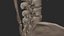 Human Skeletal SystemHigh Poly Model