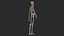 Human Skeletal SystemHigh Poly Model