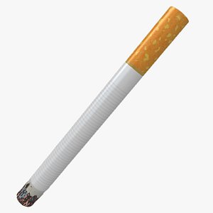 Cigarettes 3D Models for Download | TurboSquid