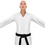 Karate Fighter 2