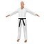 Karate Fighter 2