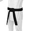 Karate Fighter 2