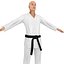 Karate Fighter 2