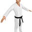 Karate Fighter 2