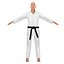 Karate Fighter 2