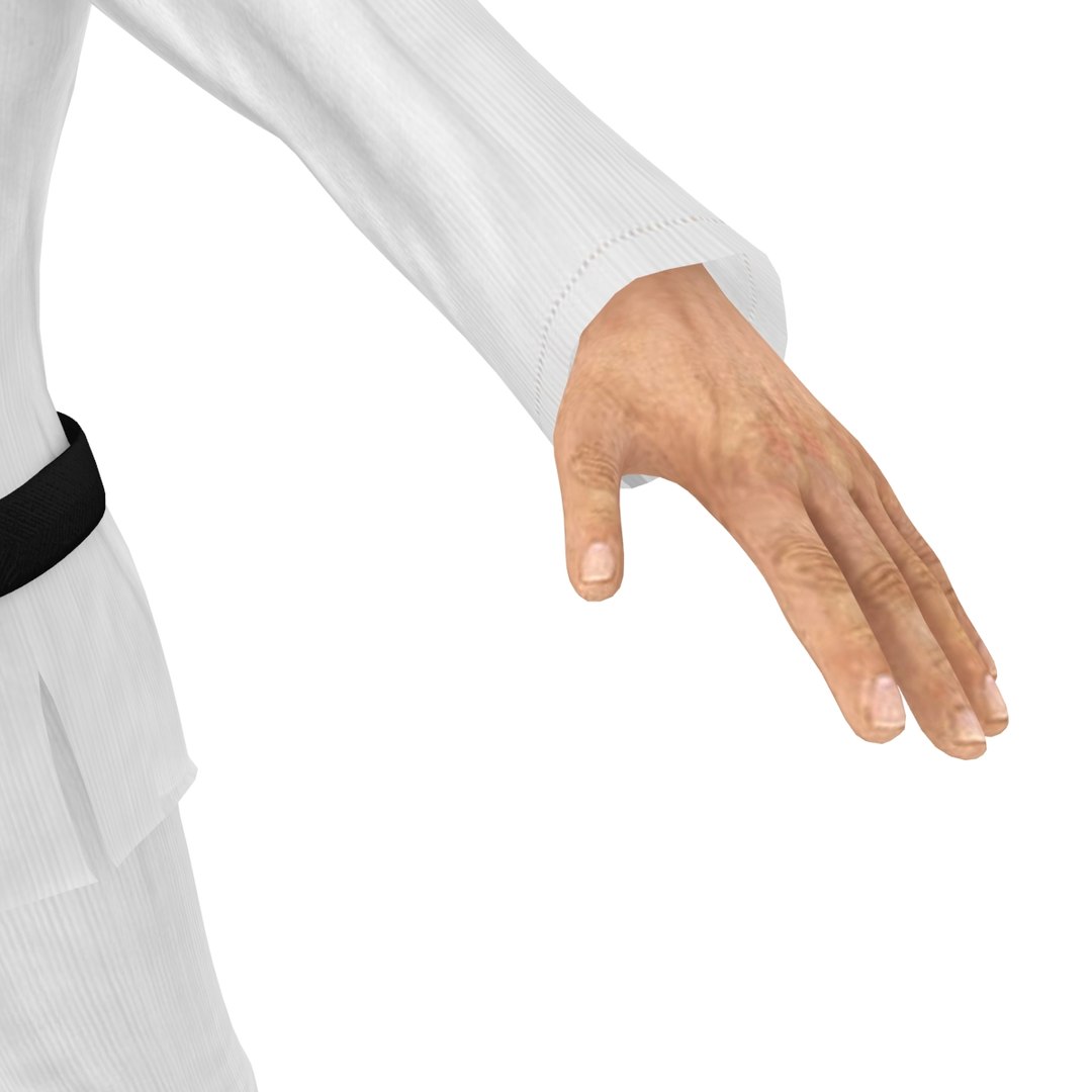 karate martial artist 3D model https://p.turbosquid.com/ts-thumb/Mk/l3jlfC/MYJs2Axw/20016/jpg/1527802038/1920x1080/fit_q87/439a1cce93f1f873d992bf2cf40efcef9a732bcb/20016.jpg