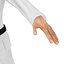 Karate Fighter 2