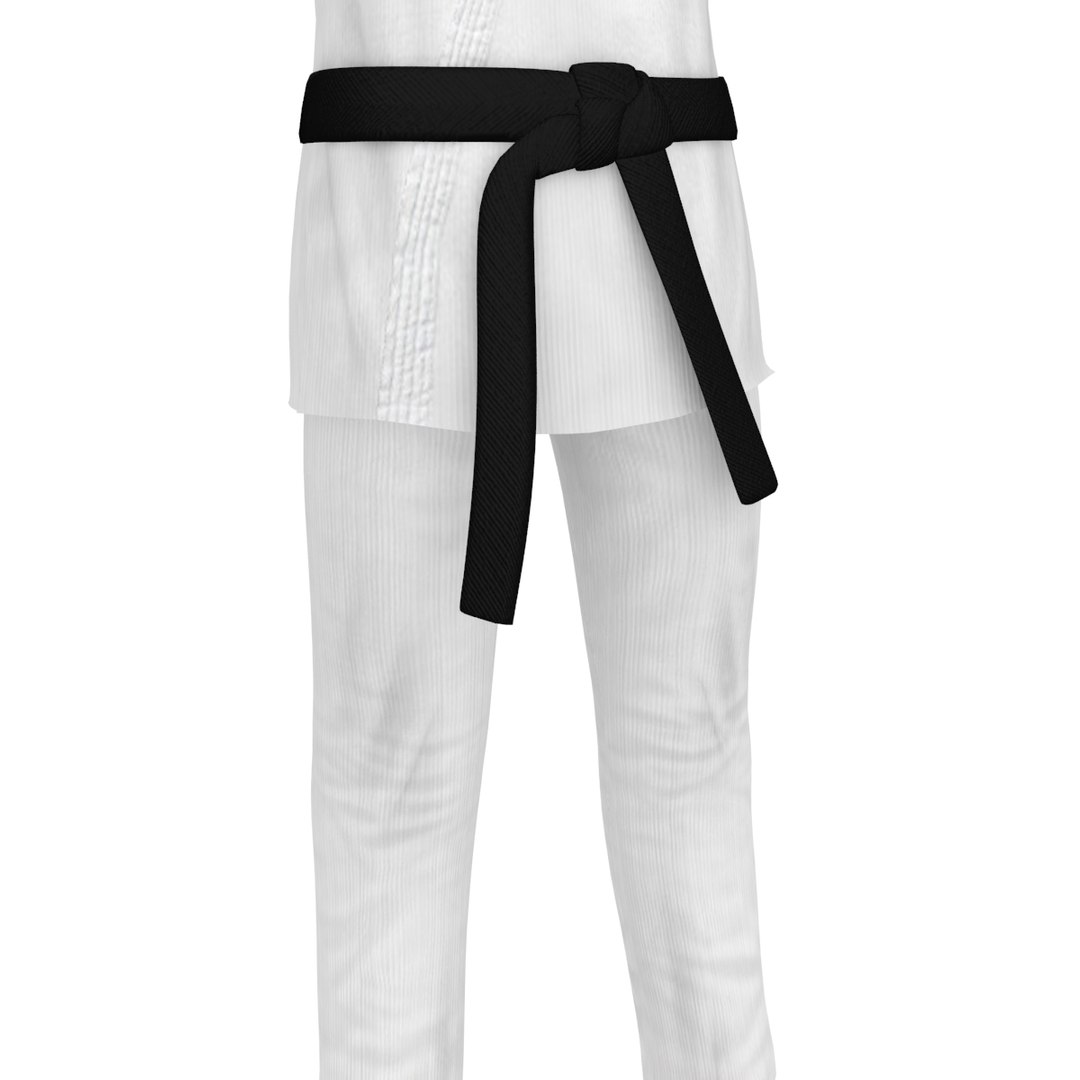 karate martial artist 3D model https://p.turbosquid.com/ts-thumb/Mk/l3jlfC/TaFkMLKt/20014/jpg/1527802038/1920x1080/fit_q87/799aa5eef685a0c29de1c9f8fa25f731e6a2663e/20014.jpg