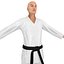 Karate Fighter 2